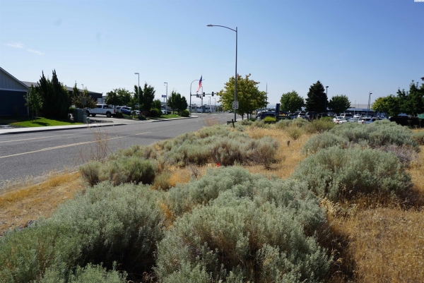 Listing Image #3 - Land for sale at Lot 8&9 NKA Midland Lane, Pasco WA 99301