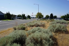 Listing Image #3 - Land for sale at Lot 8&9 NKA Midland Lane, Pasco WA 99301