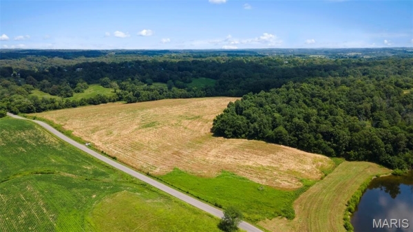 Listing Image #3 - Others for sale at County Road 349, Millersville MO 63766
