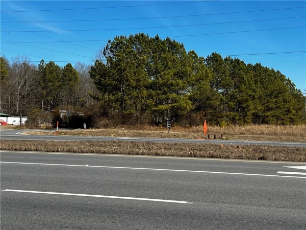 Listing Image #1 - Others for sale at 0 S 27 Highway, Trion GA 30753