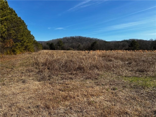 Listing Image #3 - Others for sale at 0 S 27 Highway, Trion GA 30753