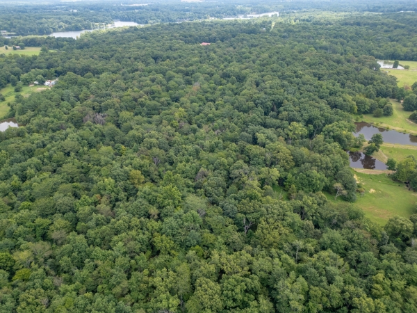 Listing Image #2 - Land for sale at 2655 McReynolds Lane, W Frankfort IL 62896