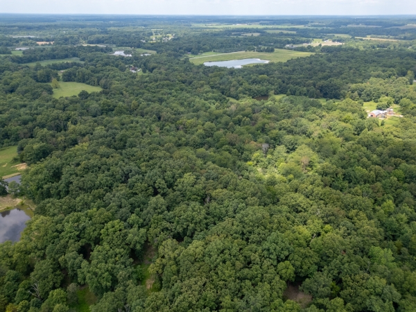 Listing Image #3 - Land for sale at 2655 McReynolds Lane, W Frankfort IL 62896