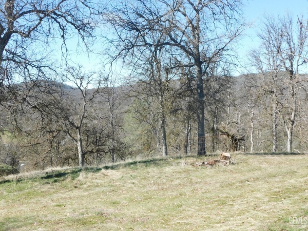 Listing Image #2 - Land for sale at Oak Drive, Posey CA 93260