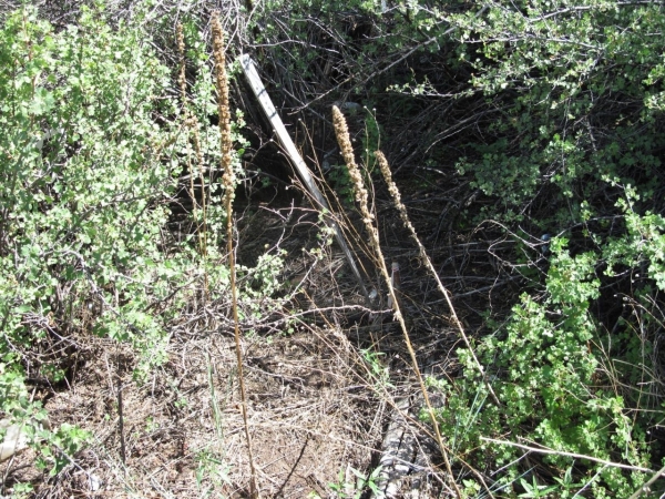 Listing Image #2 - Others for sale at 10445 & 3 NM 337 Highway, Tijeras NM 87059