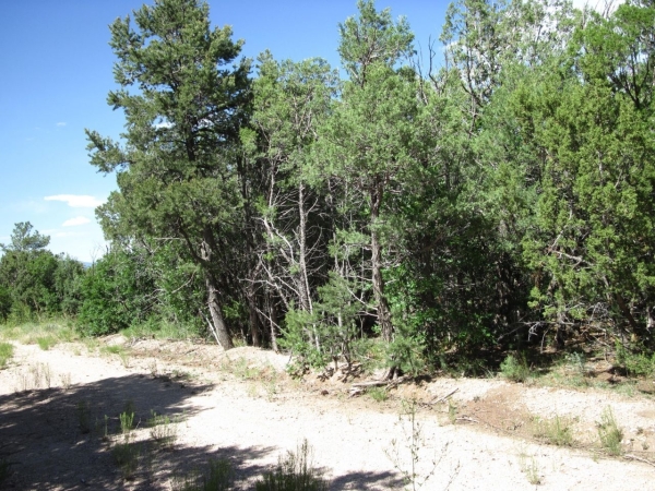 Listing Image #1 - Others for sale at 10433 NM 337 Highway, Tijeras NM 87059