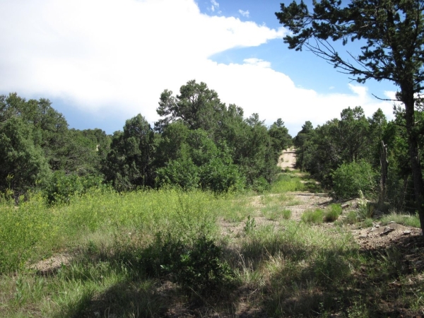 Listing Image #2 - Others for sale at 10433 NM 337 Highway, Tijeras NM 87059