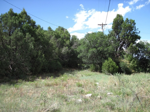 Listing Image #3 - Others for sale at 10433 NM 337 Highway, Tijeras NM 87059