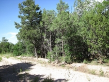 Others for sale in Tijeras, NM
