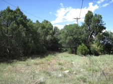 Listing Image #3 - Others for sale at 10433 NM 337 Highway, Tijeras NM 87059
