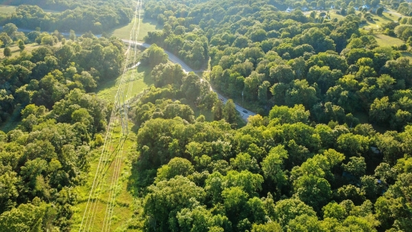 Listing Image #3 - Land for sale at 1986 Highway 76, Adams TN 37010