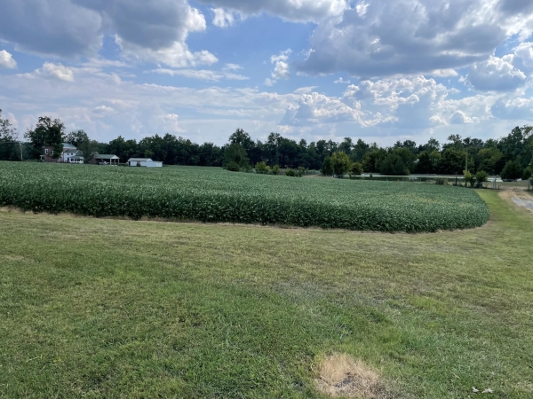 Listing Image #2 - Land for sale at Main St N, Elkton KY 42220