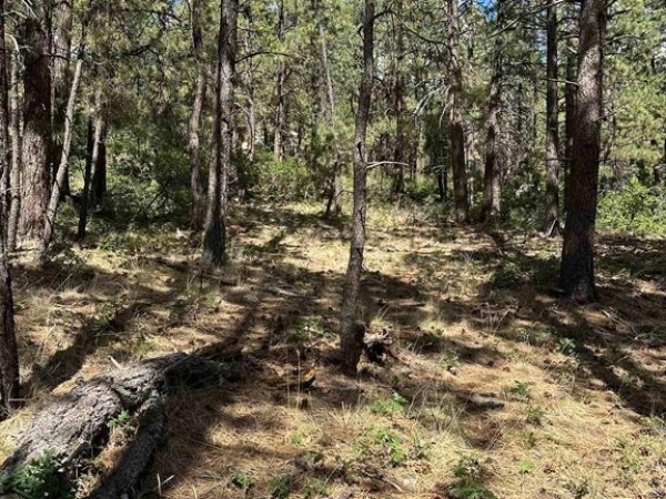 Listing Image #3 - Land for sale at 324 Hilltop Drive, Bayfield CO 81122