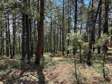Listing Image #2 - Land for sale at 324 Hilltop Drive, Bayfield CO 81122