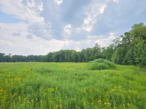 Listing Image #2 - Others for sale at 4001 Highway 18, East Side Twp MN 56342 Listing Image #2 - Others for sale at 4001 Highway 18, East Side Twp MN 56342