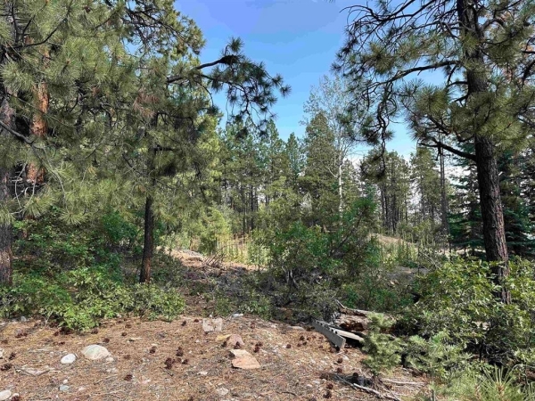 Listing Image #1 - Land for sale at 186 Pine Ridge, Bayfield CO 81122