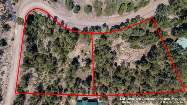 Listing Image #2 - Land for sale at 186 Pine Ridge, Bayfield CO 81122