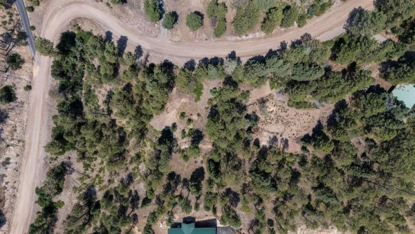 Listing Image #3 - Land for sale at 186 Pine Ridge, Bayfield CO 81122