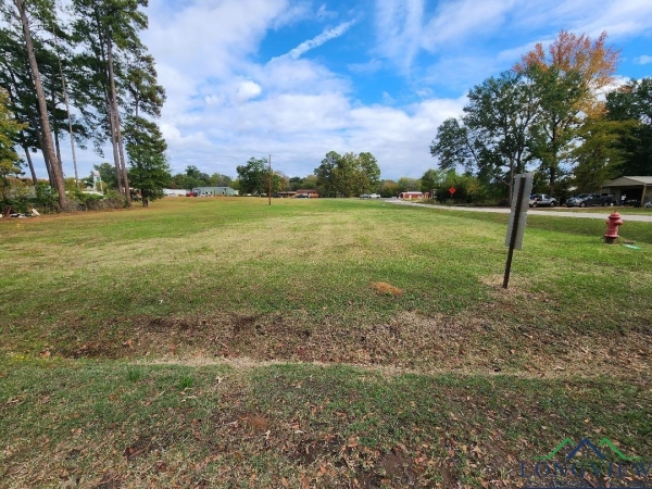 Listing Image #2 - Industrial for sale at TBD N US HWY 259, Ore City TX 75683