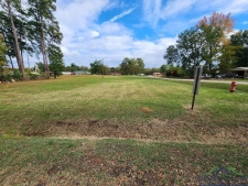 Listing Image #2 - Industrial for sale at TBD N US HWY 259, Ore City TX 75683