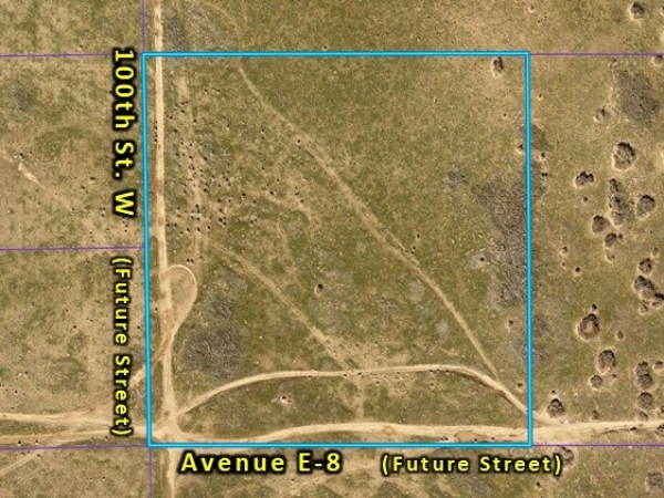 Listing Image #2 - Land for sale at 100th St W & Avenue E-8, Unincorporated LA County CA 93536