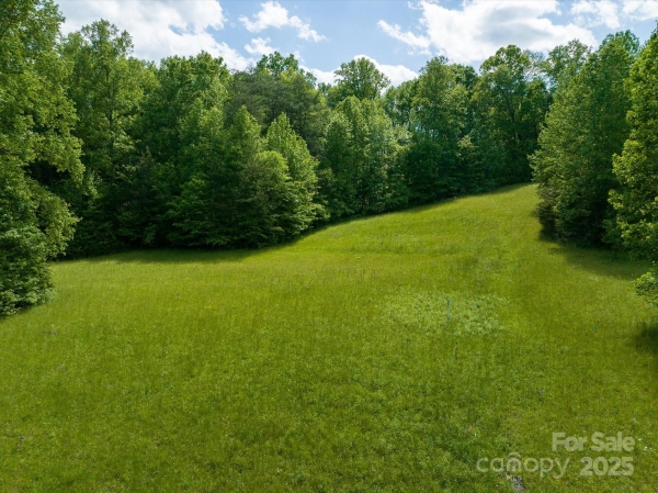 Listing Image #3 - Others for sale at 899 W Mills Street, Columbus NC 28722