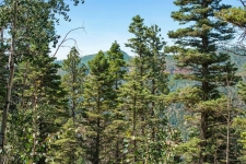 Listing Image #3 - Land for sale at 126 Sierra Verde Lane, Durango CO 81301