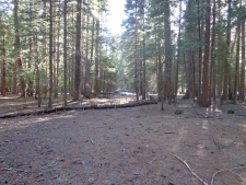 Listing Image #1 - Land for sale at Philippian Philippian Way, Shingletown CA 96088