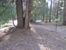 Listing Image #2 - Land for sale at Philippian Philippian Way, Shingletown CA 96088