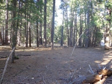 Listing Image #3 - Land for sale at Philippian Philippian Way, Shingletown CA 96088