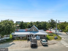 Others property for sale in Milton, DE