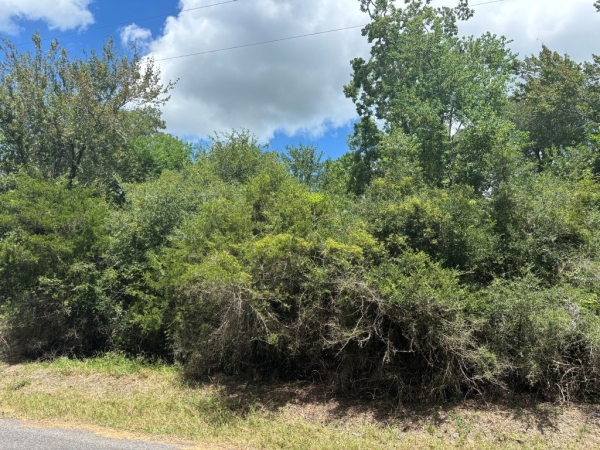 Listing Image #3 - Land for sale at J Jardell Rd, Vinton LA 70668