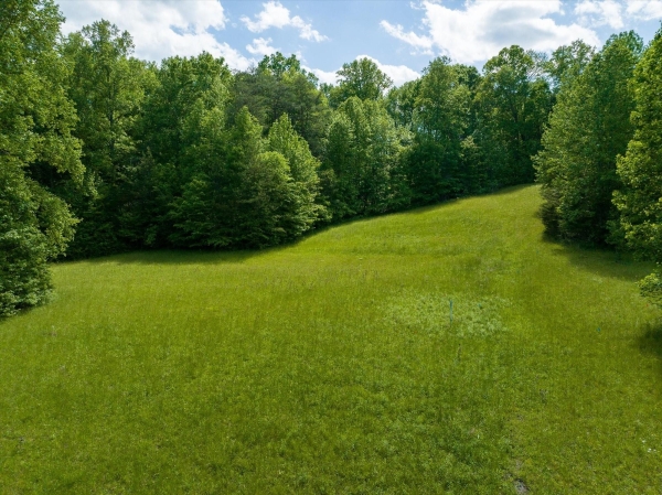 Listing Image #3 - Others for sale at 899 W Mills Street, Columbus NC 28722