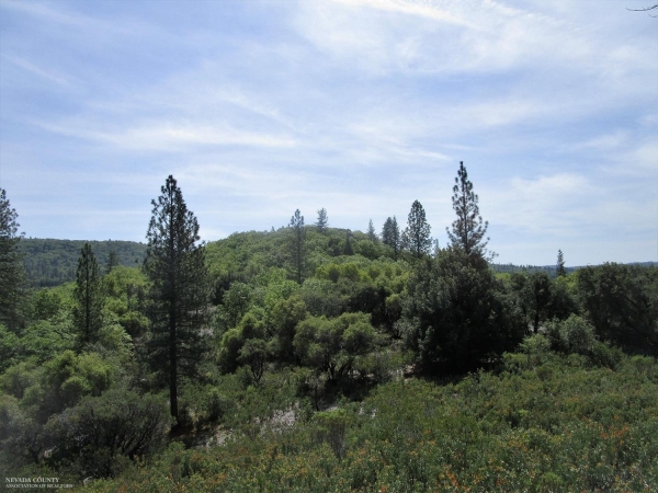 Listing Image #2 - Land for sale at 24271 Hoyt Crossing Road, North San Juan CA 95960