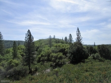 Listing Image #2 - Land for sale at 24271 Hoyt Crossing Road, North San Juan CA 95960