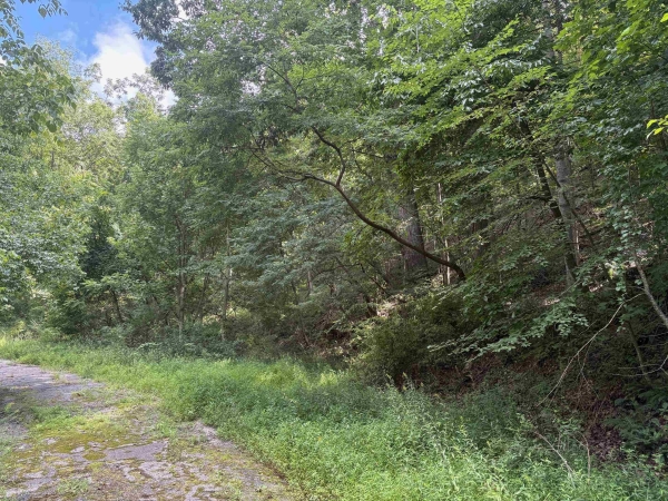 Listing Image #2 - Land for sale at TBD Virginia Avenue, Newport VA 24128