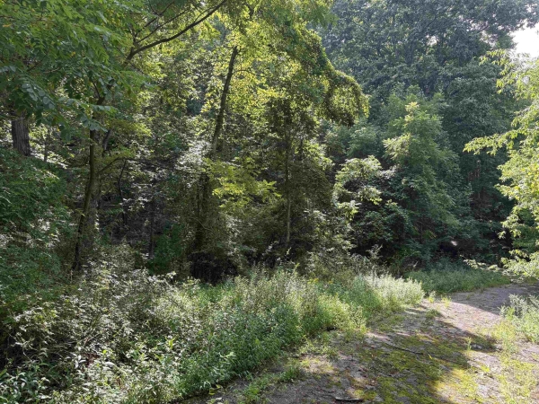 Listing Image #3 - Land for sale at TBD Virginia Avenue, Newport VA 24128