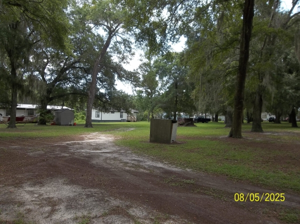 Listing Image #3 - Land for sale at 131 Pomona Landing Road, Pomona Park FL 32181