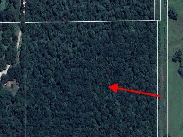 Listing Image #3 - Land for sale at Freddie Frank Road, Long Beach MS 39560