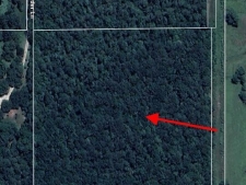 Listing Image #3 - Land for sale at Freddie Frank Road, Long Beach MS 39560