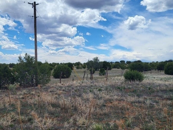 Listing Image #2 - Others for sale at Bullion Road, Moriarty NM 87035