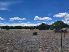 Listing Image #3 - Others for sale at Bullion Road, Moriarty NM 87035