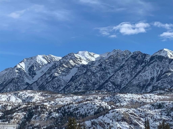 Listing Image #2 - Land for sale at 49789 N Us Highway 550, Durango CO 81301
