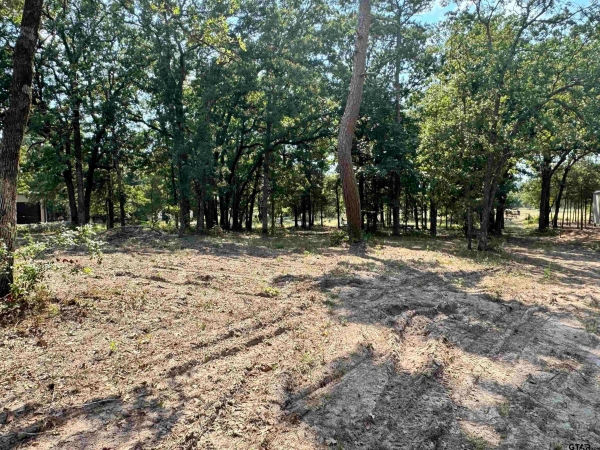 Listing Image #2 - Others for sale at 0000 FM 115, Scroggins TX 75480 Listing Image #2 - Others for sale at 0000 FM 115, Scroggins TX 75480