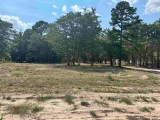 Others property for sale in Scroggins, TX