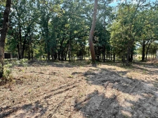 Listing Image #2 - Others for sale at 0000 FM 115, Scroggins TX 75480