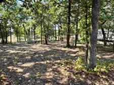 Listing Image #3 - Others for sale at 0000 FM 115, Scroggins TX 75480