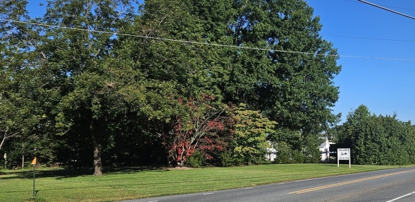 Listing Image #1 - Land for sale at 3590 Old Hollow Road, Walkertown NC 27051