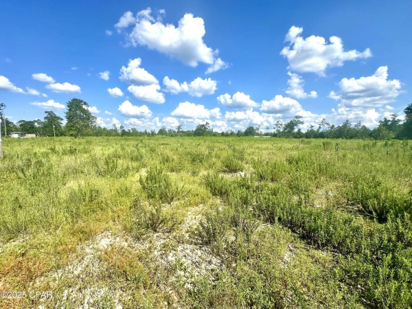 Listing Image #2 - Others for sale at 12810 HWY 231, Youngstown FL 32466