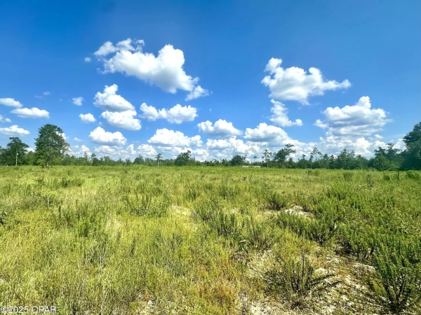 Listing Image #3 - Others for sale at 12810 HWY 231, Youngstown FL 32466
